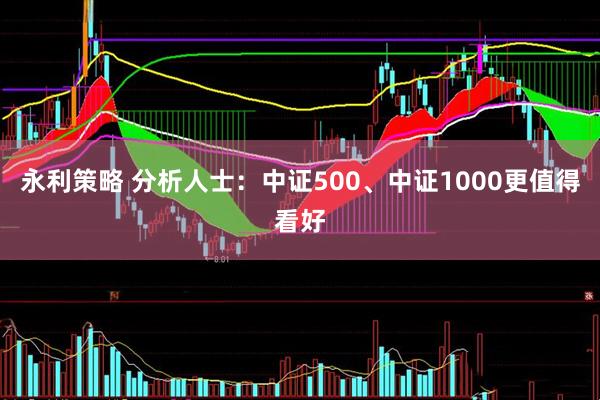 永利策略 分析人士：中证500、中证1000更值得看好