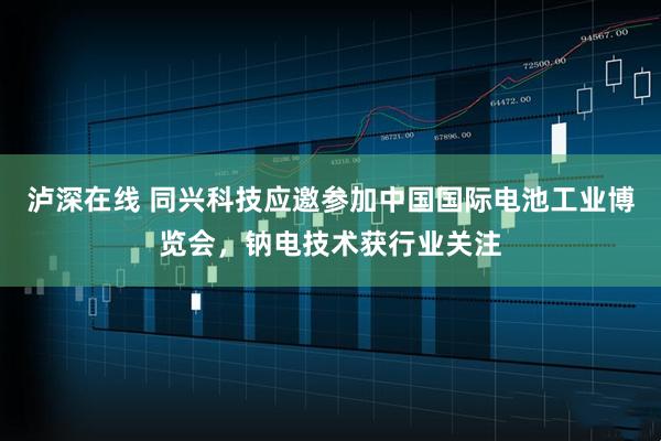 泸深在线 同兴科技应邀参加中国国际电池工业博览会，钠电技术获行业关注