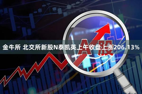 金牛所 北交所新股N泰凯英上午收盘上涨206.13%